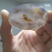 فروش انواع شجر بهاره و پاییزه و انواع نگین