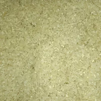 برنج سرلاشه طارم معطر|خوردنی و آشامیدنی|کرج, کمالشهر|دیوار