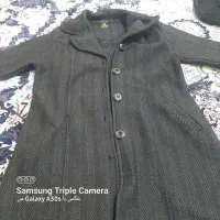 پالتو در حدنو