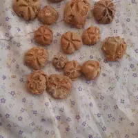 فروش سنگ فسیل به تعداد بالا|کلکسیون اشیاء عتیقه|اصفهان, بابوکان|دیوار