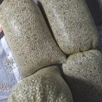 لوبیا چیتی|خوردنی و آشامیدنی|سیلوانه, |دیوار