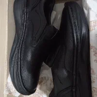 کفش|کیف، کفش، کمربند|بیرجند, |دیوار