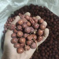 اناب امسالی|خوردنی و آشامیدنی|درمیان, |دیوار