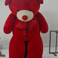 خرس بزرگ ولنتاین ، شاسخین