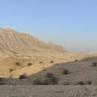 چراگاه گوسفند،اجاره قشلاق ۹ دانگ،شهرستان فراشبند|اجارهٔ دفتر صنعتی، کشاورزی، تجاری|شیراز, رکن‌آباد|دیوار