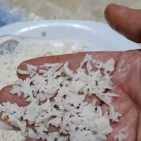 خرید برنج مستقیم از شالیزار گیلان ۱۲۵|خوردنی و آشامیدنی|کرج, کمال‌شهر|دیوار