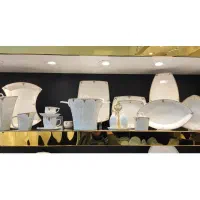 سرویس چینی پردیس ایزابل