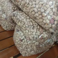 لوبیا چیتی