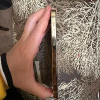 ایفون 12 pro|موبایل|اهواز, گلستان|دیوار