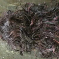 کلاه گیس ژاپنی شرابی|آرایشی، بهداشتی، درمانی|تهران, بریانک|دیوار