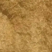 با سلام فروش کاه گندم و جو