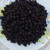 آلبالو خشک/زردآلوخشک/لواشک آلبالو/لواشک آلو
