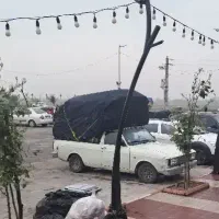 وانت بار وانت تلفنی حاج مِهدی
