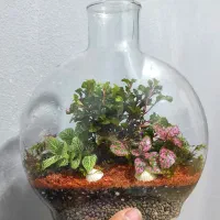 تولید تراریوم .موساریوم.