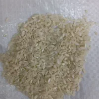 فروش عمده برنج درجه یک اصل کامفیروز|خوردنی و آشامیدنی|شیراز, شریف‌آباد|دیوار