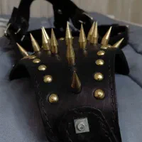 سپهری سینه بند وقلاده سگ