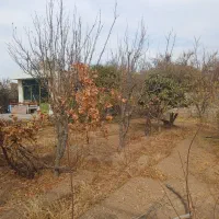 فروش-باغ-زیر-پادگان-امام-علی