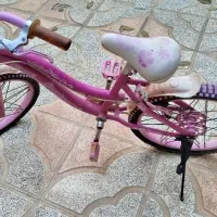 دو عدد دوچرخه ۲۰