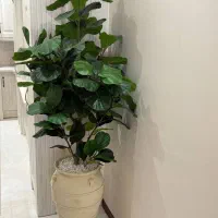 گل مصنوعی