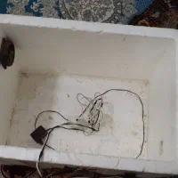 دستگاه جوجه کشی|لوازم جانبی حیوانات|کرمانشاه, |دیوار