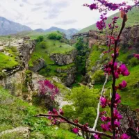 تور گروهی دره چریک