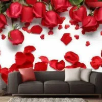 نصب کاغذدیواری حرفه ای (چالوس وشهرهای اطراف)