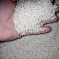 برنج طارم هاشمی