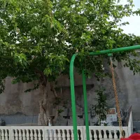 ۳ خوابه مهر لپویی