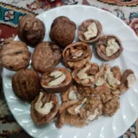 گردوی مغز سفید امسال|خوردنی و آشامیدنی|سبزوار, غرب نیروگاه|دیوار