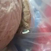 عروسک های مارک دارخارجی|اسباب‌بازی بچه|تبریز, |دیوار