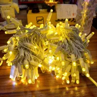 اجرا تونل نوری در سرزمین ریسه|ریسه و چراغ تزئینی|شیراز, فخرآباد (دروازه کازرون)|دیوار