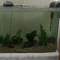 اکواریوم 60*40*85|ماهی|علی‌آباد کتول, |دیوار