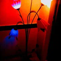 آباژور|چراغ خواب و آباژور|میاندوآب, |دیوار