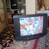 تلویزیون 21 سالم|تلویزیون و پروژکتور|گلپایگان, |دیوار