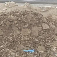 کود گوسفندی