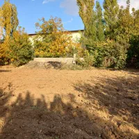 باغ و گلخانه|فروش دفتر صنعتی، کشاورزی، تجاری|سنندج, |دیوار