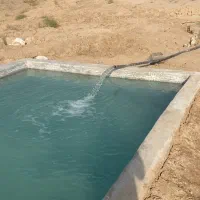 زمین مزروعی در دشت بجد