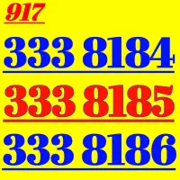 917.333.8680