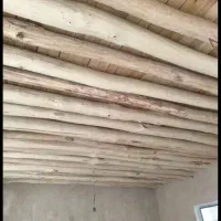 چوبچنار 3.5متری