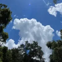 فروش زمین قیمت توافقی