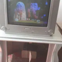 تلویزیون