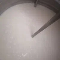 دوغ گوسفندی