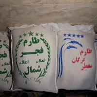 برنج طارم فجر اعلاء