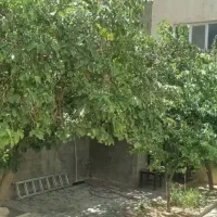 ویلایی-دربست-150-متر-بنا-100-متر-حیاط-خیابان-لادن
