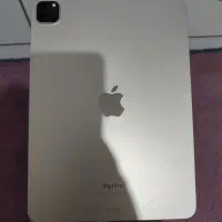 ipad pro m2 256