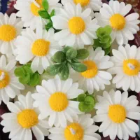 قالب سیلیکونی