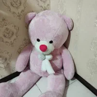خرس تمیز وسالم نو