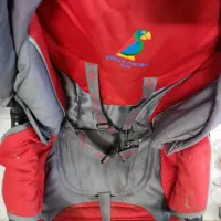 کالسکه پیرگاردین