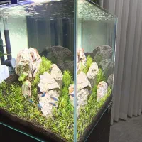 آکواریوم پلنت فروش فوری زیر قیمت|ماهی|قم, پردیسان|دیوار