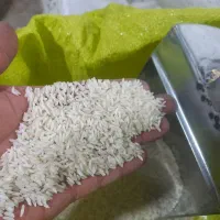 چای بهاره ۱۴۰۵